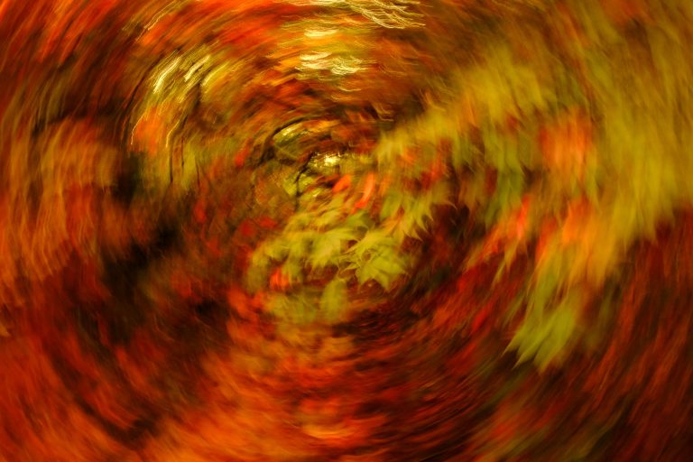 Batsford impressions - Creative Abstract Photography