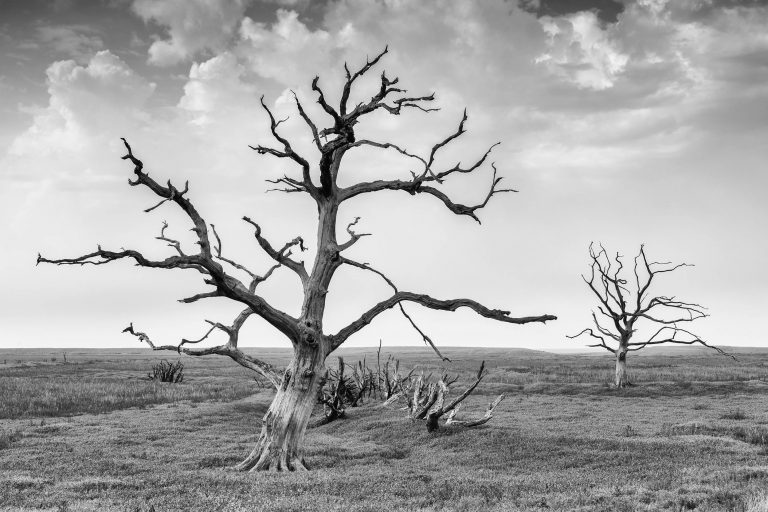 Exmoor National Park in England. - Enchanting Exmoor Photography Workshops