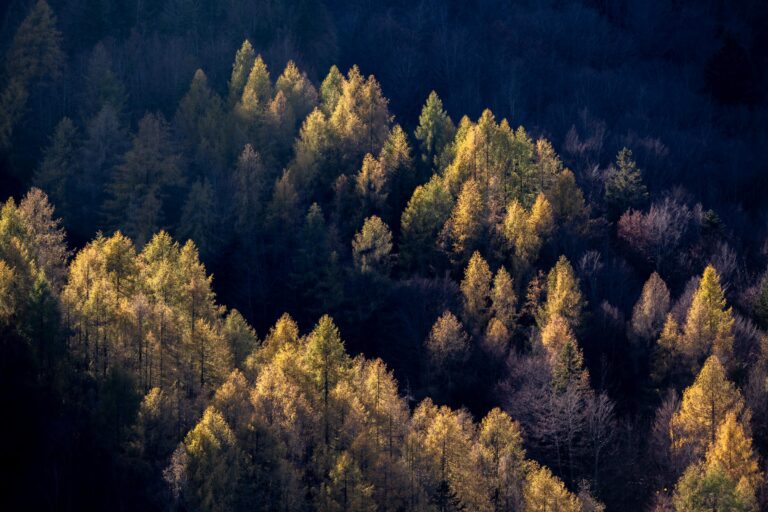 Autumn Colours, Slovenia