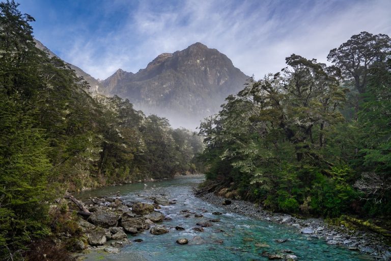 Morning mist clears over the Routeburn River, New Zealand